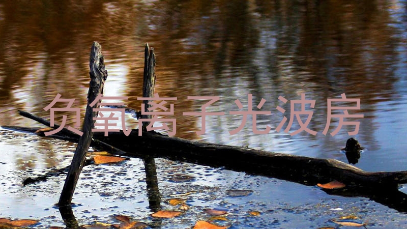 负氧离子光波房