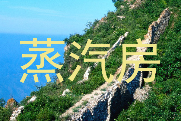 蒸汽房