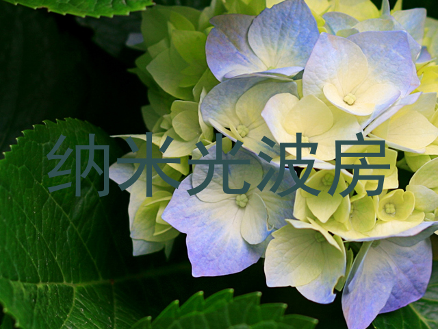 纳米光波房