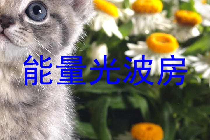 能量光波房