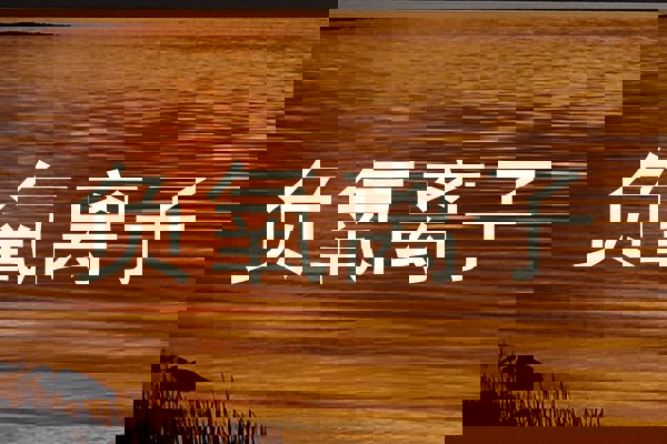 负氧离子