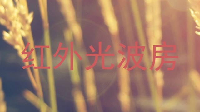 红外光波房