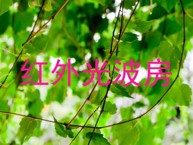 红外光波房