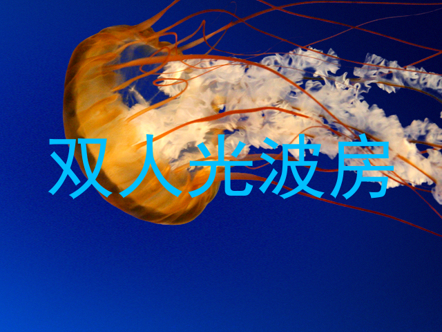 双人光波房