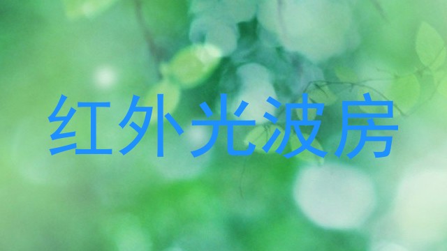 红外光波房