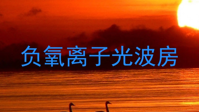 负氧离子光波房