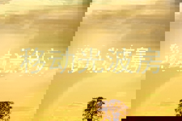 移动光波房
