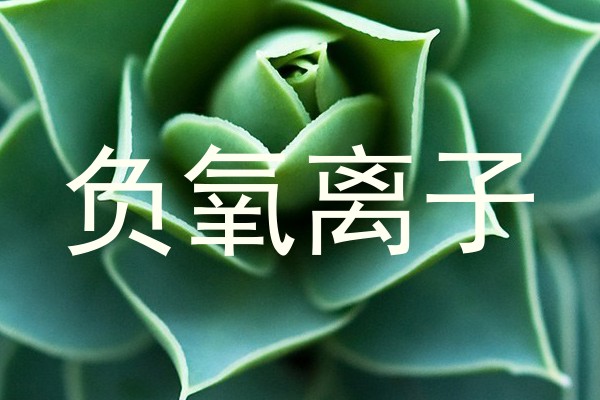 负氧离子