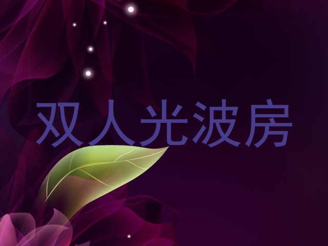 双人光波房
