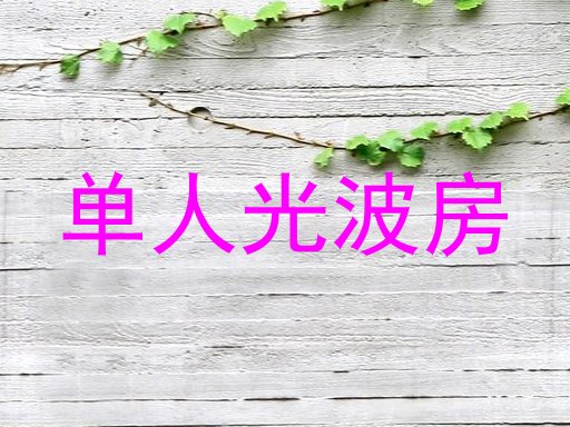 单人光波房