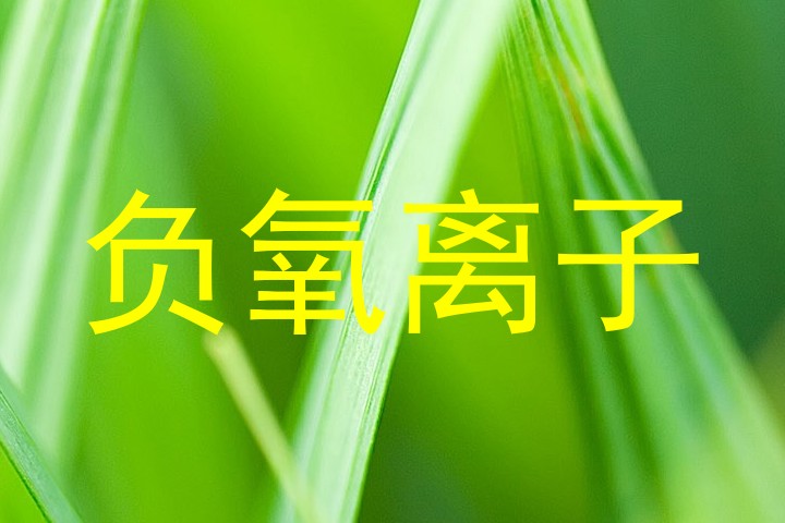 负氧离子