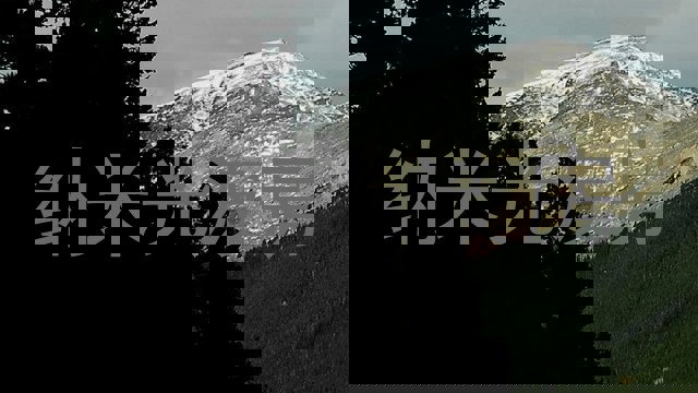 纳米光波房