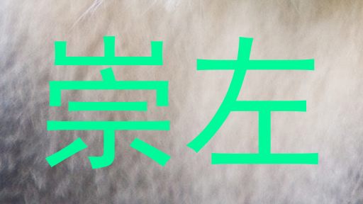 崇左