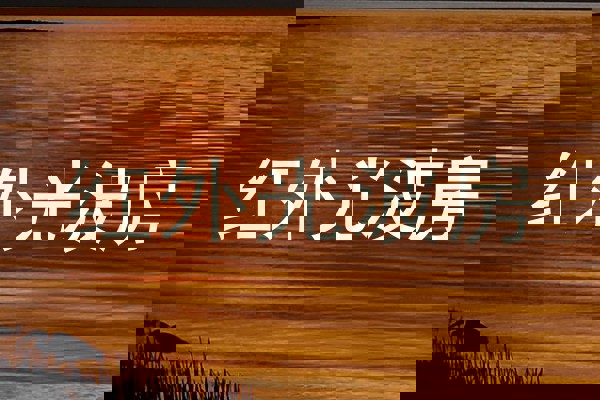 红外光波房