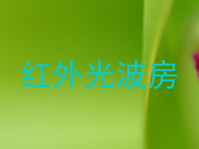 红外光波房