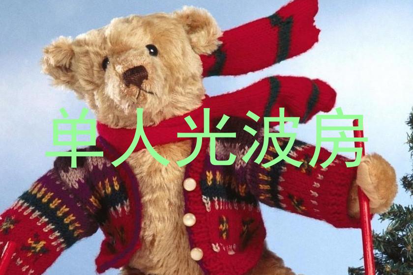 单人光波房