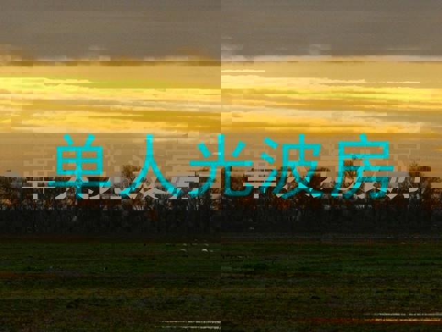 单人光波房