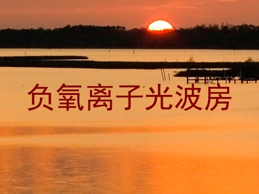 负氧离子光波房