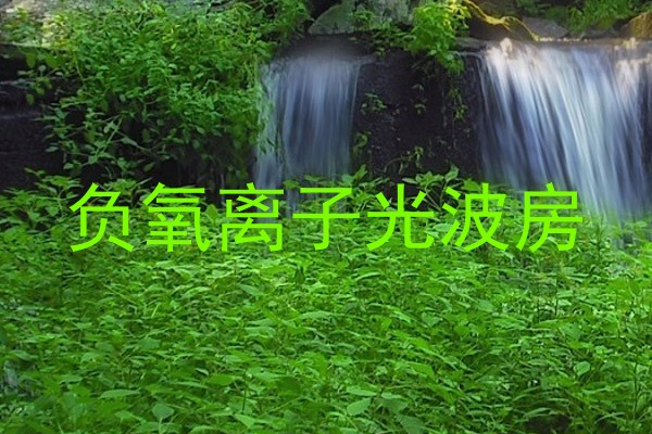 负氧离子光波房