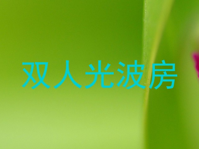 双人光波房