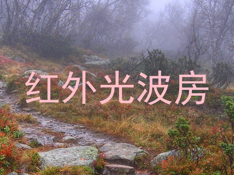 红外光波房