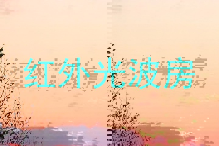 红外光波房