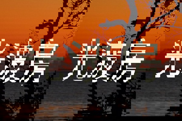 光波房