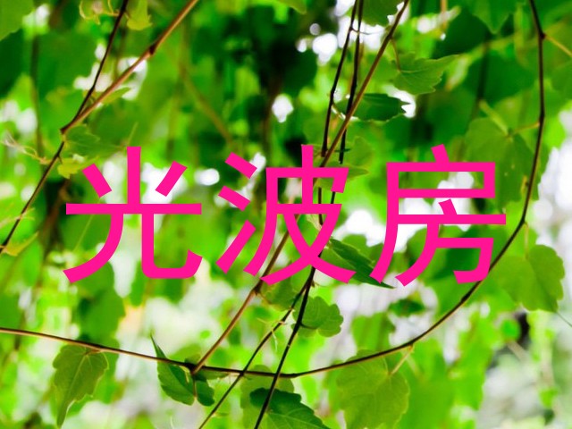 光波房
