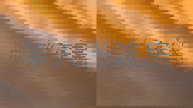 单人光波房