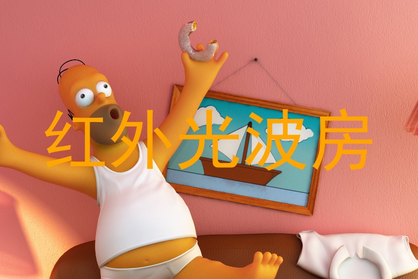 红外光波房
