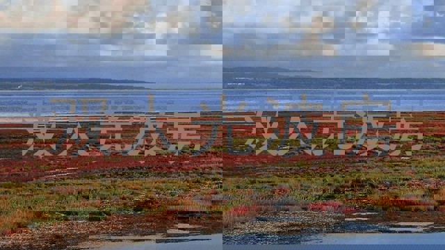 双人光波房
