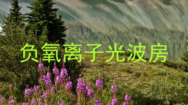 负氧离子光波房
