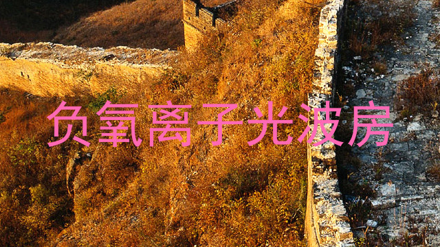 负氧离子光波房