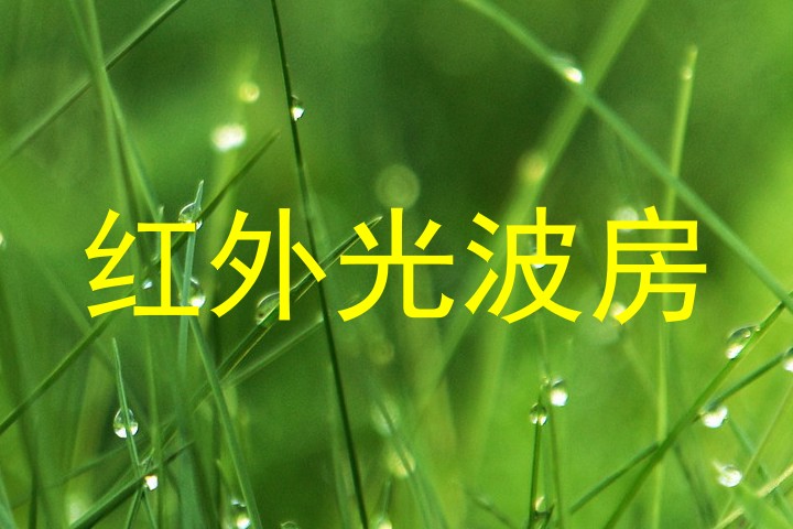 红外光波房