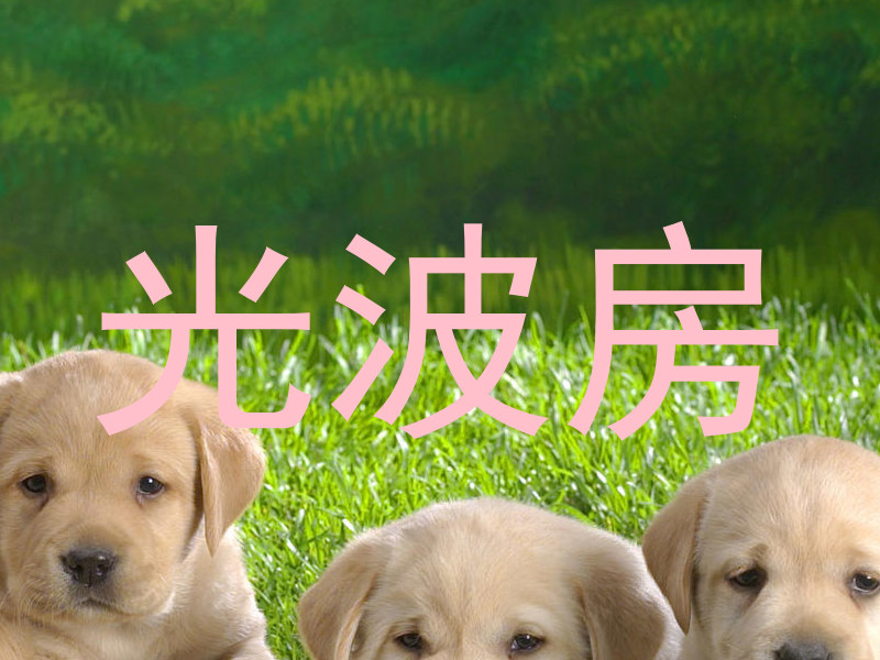 光波房