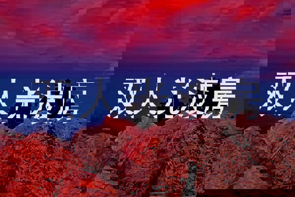 双人光波房