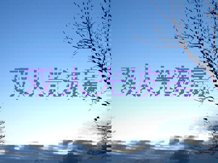 双人光波房