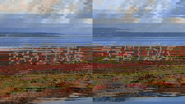 负氧离子光波房