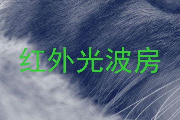 红外光波房