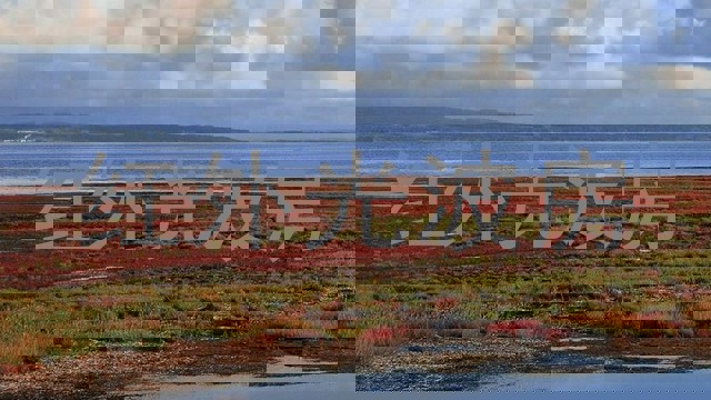 红外光波房