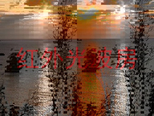 红外光波房