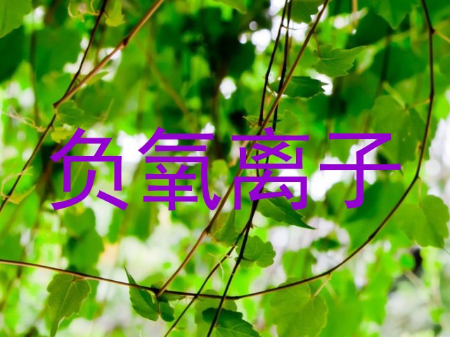 负氧离子