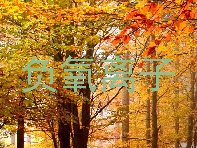 负氧离子