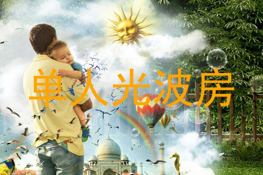 单人光波房