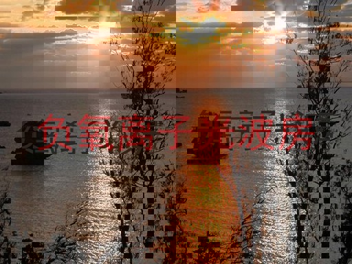 负氧离子光波房