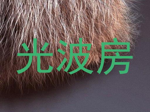 光波房