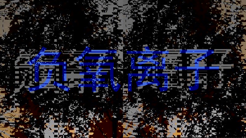 负氧离子