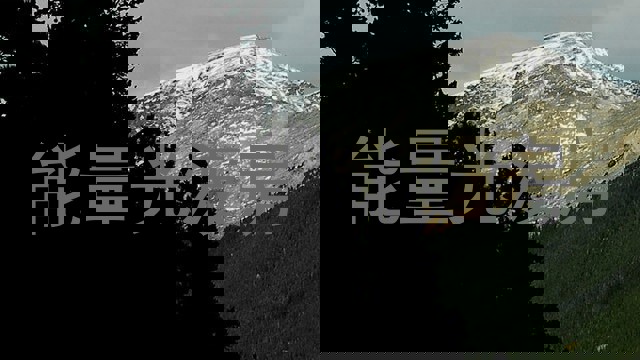 能量光波房