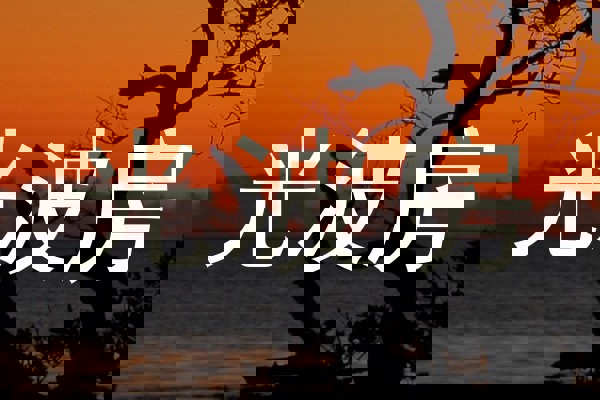 光波房