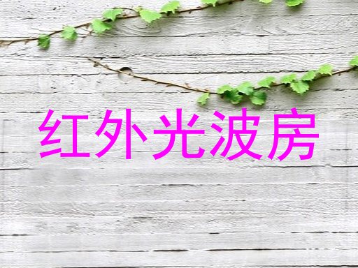 红外光波房